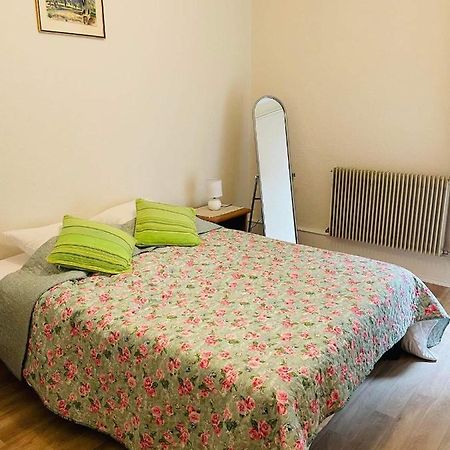 Appartement Cosy Colmar Kültér fotó