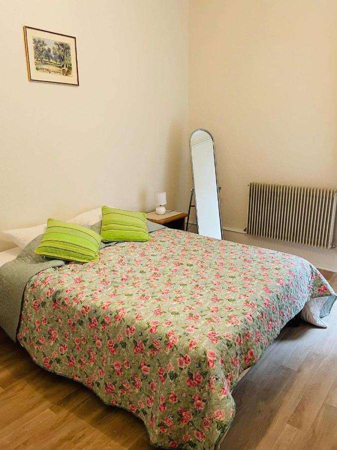 Appartement Cosy Colmar Kültér fotó